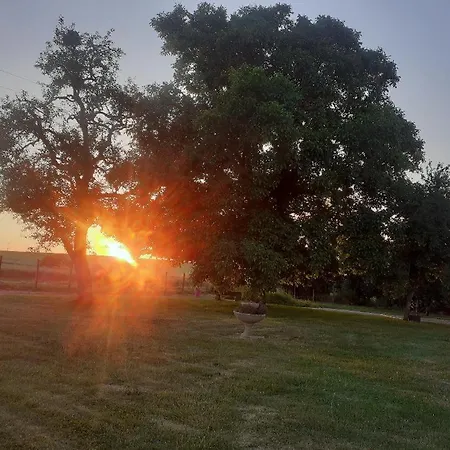 Au Pans De Bois. Repos Et Détente